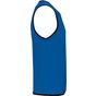 ProAct Chasuble de rugby réversible sporty_royal_blue/green