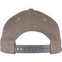 flexfit 110 Curved Visor Snapback grey