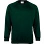 Maddins Sweat-shirt enfant Coloursure™ bottle_green