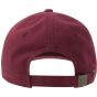 Atlantis DAD HAT DESTROYED-S cardinal_red