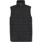 Regatta Men's Essential Thermal Gilet black
