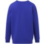 SG Originals Crew Neck Sweatshirt Kids  royal_blue