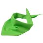 Myrtle Beach Triangular Scarf lime_green