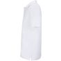 Sol's Pegase blanc