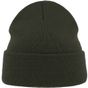 Atlantis Eko Beanie pine_green