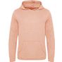 Awdis Ecologie Lusaka Sustainable Hoodie soft_peach