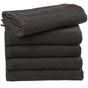 SG Accessories - Towels Ebro Guest Towel 30x50cm deep_black