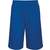 ProAct SHORT RÉVERSIBLE BASKET-BALL UNISEXE sporty_royal_blue/white