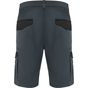 Roly WRK Tahoe plomb/noir