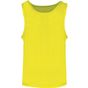 Fluorescent yellow