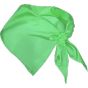 Stamina FESTERO vert_irlandais