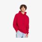 fruit of the loom Iconic 250 Hooded Sweat