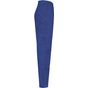 WK Designed To Work Pantalon de travail multipoches homme royal_blue