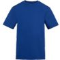 AWDis T AWDIS 180 T royal_blue