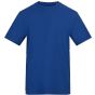 AWDis T AWDIS 150 T royal_blue