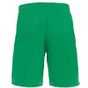 Macron Mesa hero short green