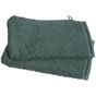 A&R Washcloth dark_green