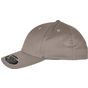 flexfit 110 Curved Visor Snapback grey