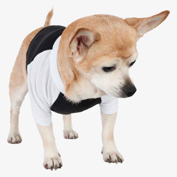 3/4 sleeve dog raglan t-shirt  American apparel