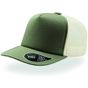 Atlantis Record Cap olive