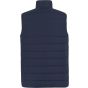 Regatta Men's Essential Thermal Gilet navy