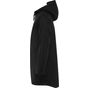 Roly Sitka noir