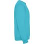 Roly Clasica turquoise