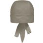 karlowsky Bandana Essential Recycled Polyester Sage