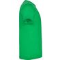Roly Dogo Premium vert_irlandais