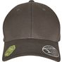 flexfit Flexfit 110 Organic Cap dark_grey