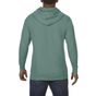 Comfort colors Adult Hooded Sweatshirt light_green