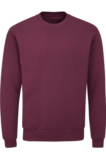 Image produit Essential sweatshirt