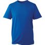 Anthem T-shirt homme Anthem royal