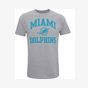 Official American T-shirt illustration Miami Dolphins
