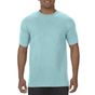 Comfort colors Adult Tee chalky_mint