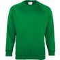 Maddins Sweat-shirt enfant Coloursure™ emerald
