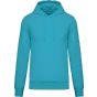 Kariban Sweat-shirt écoresponsable à capuche homme sea_turquoise