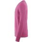 Pelot Nino Rose vif