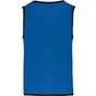 ProAct Chasuble de rugby réversible enfant sporty_royal_blue/green