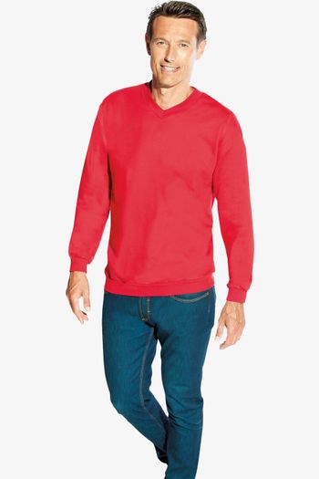 Image produit Men´s V-Neck Sweater