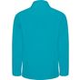 Roly Nebraska aquamarine