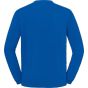 fruit of the loom Iconic 250 Set-In Sweat royal_blue