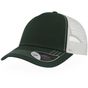 Atlantis Rapper Canvas bottle_green/white