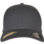 flexfit Flexfit Recycled Polyester Cap light_charcoal