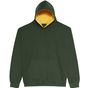 AWDis Just Hoods Kids Varsity Hoodie forest_green/gold