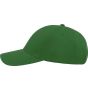 Atlantis Zoom Cap green