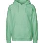 Neutral Mens Hoodie dusty_mint