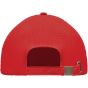 Sol's Tekapo rouge_vif
