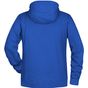 James&Nicholson Men´s Hoody royal_heather