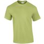 Gildan T-Shirt Ultra Cotton pistachio